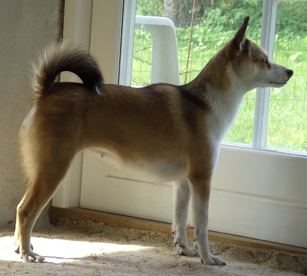 Keeza 4 år