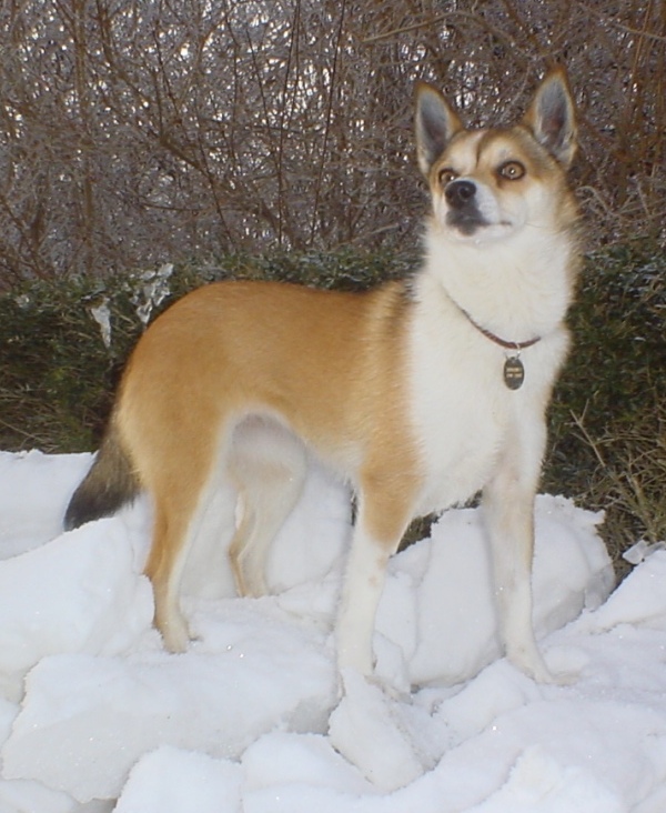 Keeza 3 år