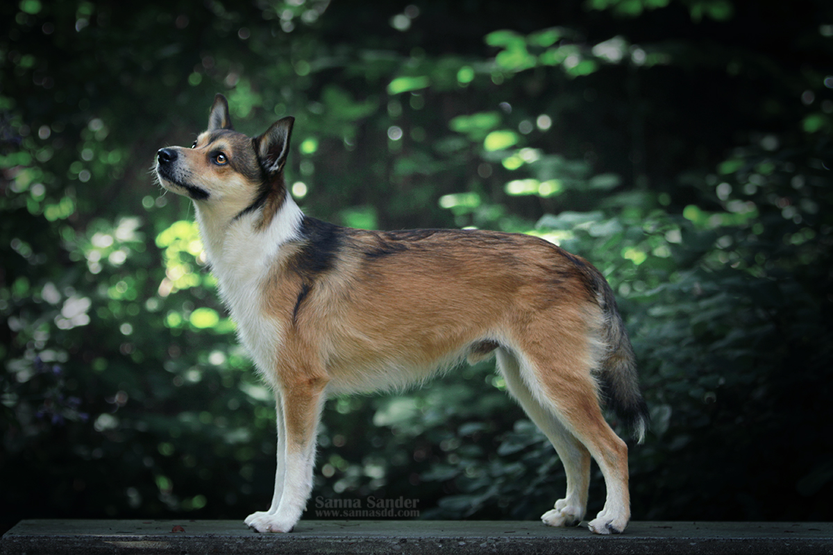Into the wild Eugen